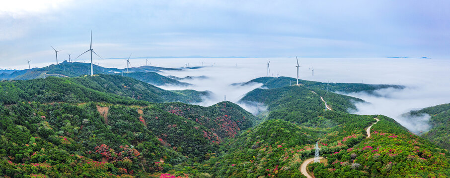 云海飘渺红叶似火美景