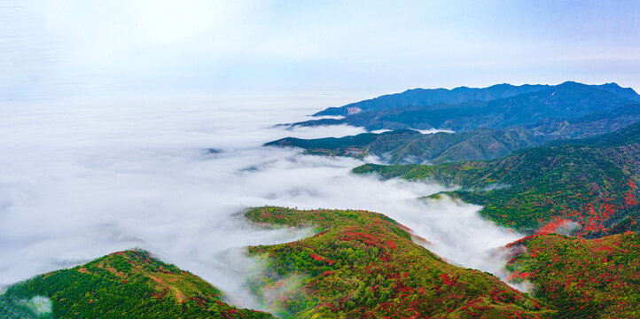 云海飘渺红叶似火美景