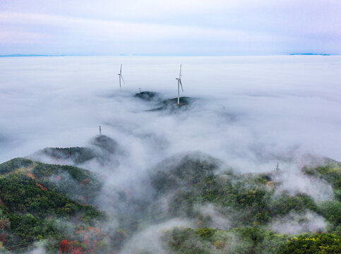 云海飘渺红叶似火美景