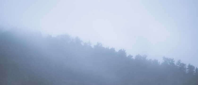 云雾山林