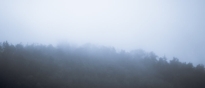 雨雾山林