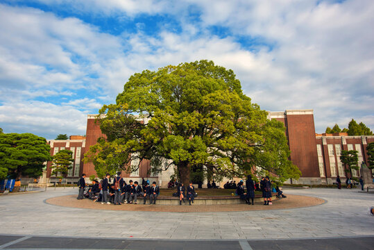 京都大学