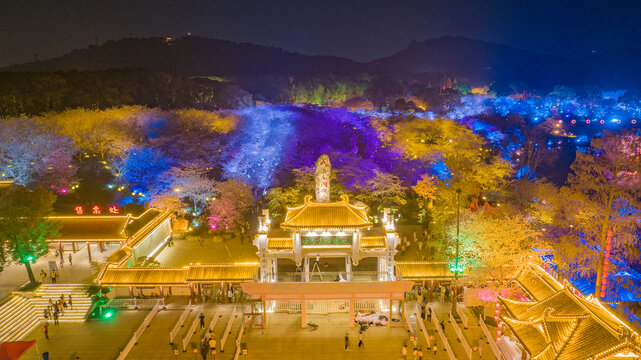 武汉东湖樱花园夜景