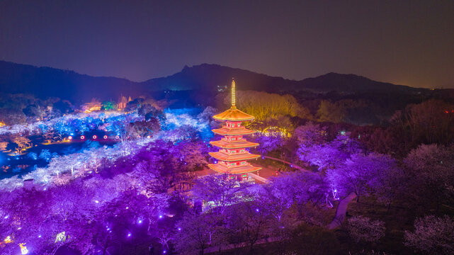 武汉东湖樱花园夜景