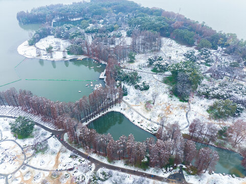 武汉东湖磨山风景区冬季雪景