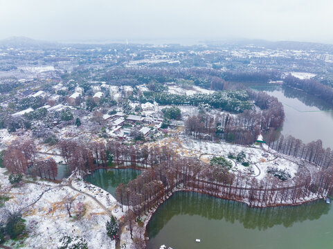 武汉东湖磨山风景区冬季雪景