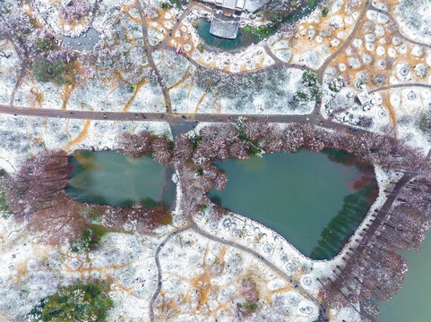 武汉东湖磨山风景区冬季雪景