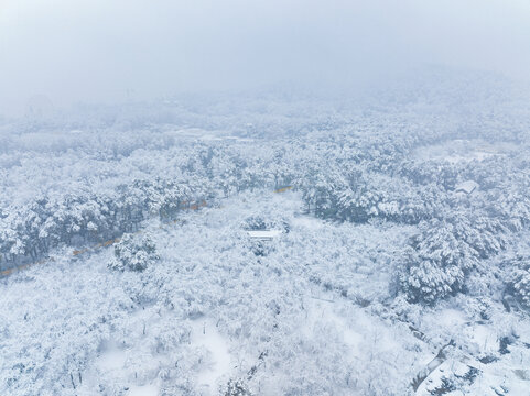 武汉东湖磨山风景区冬季雪景