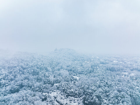 武汉东湖磨山风景区冬季雪景