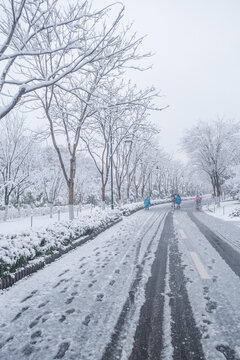 武汉东湖磨山风景区冬季雪景