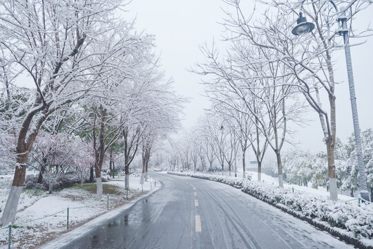 武汉东湖磨山风景区冬季雪景