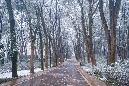 武汉东湖磨山风景区冬季雪景