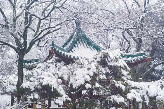 武汉东湖磨山风景区冬季雪景