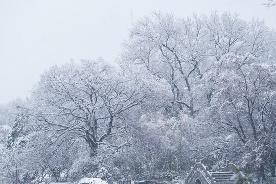 武汉东湖磨山风景区冬季雪景