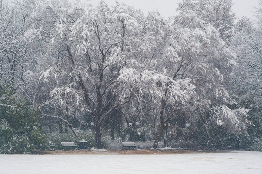 武汉东湖磨山风景区冬季雪景