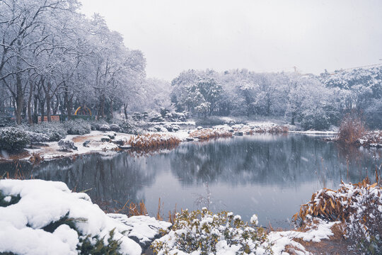 武汉东湖磨山风景区冬季雪景