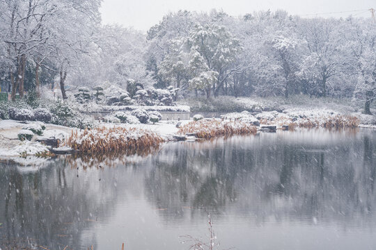 武汉东湖磨山风景区冬季雪景