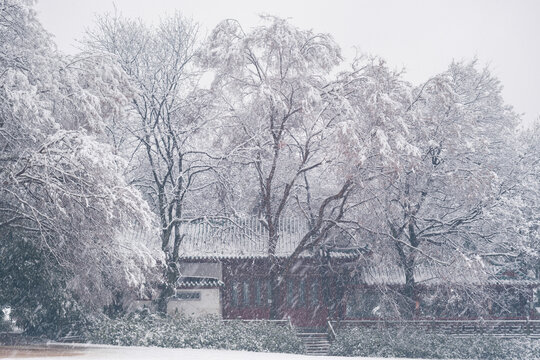 武汉东湖磨山风景区冬季雪景