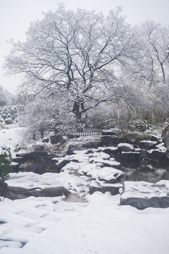 武汉东湖磨山风景区冬季雪景