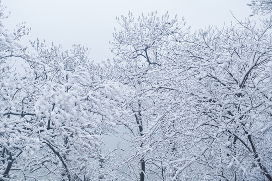 武汉东湖磨山风景区冬季雪景