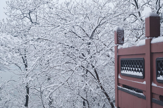 武汉东湖磨山风景区冬季雪景