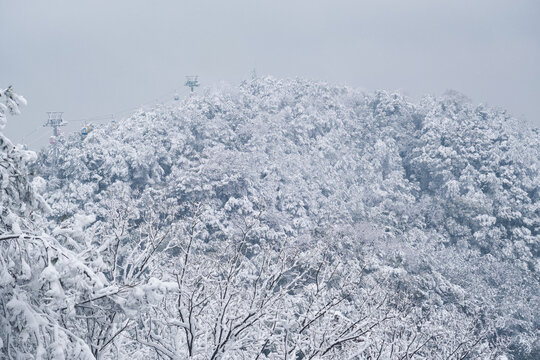 武汉东湖磨山风景区冬季雪景