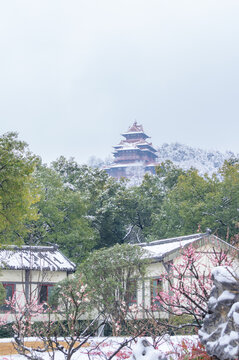 武汉东湖磨山风景区冬季雪景