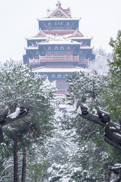 武汉东湖磨山风景区冬季雪景