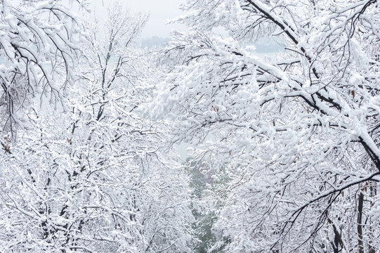 武汉东湖磨山风景区冬季雪景