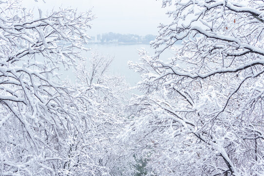 武汉东湖磨山风景区冬季雪景