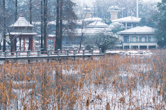 武汉东湖磨山风景区冬季雪景