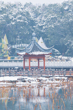 武汉东湖磨山风景区冬季雪景