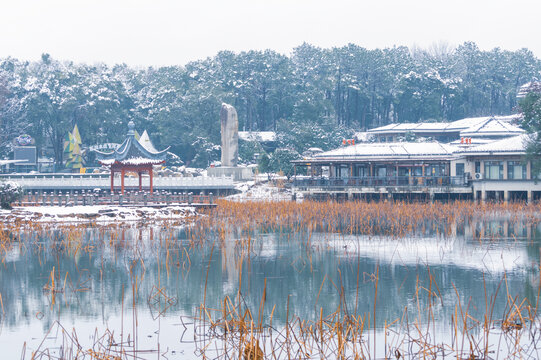 武汉东湖磨山风景区冬季雪景