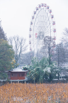 武汉东湖磨山风景区冬季雪景