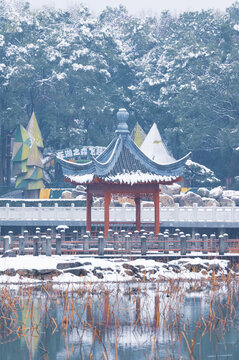 武汉东湖磨山风景区冬季雪景