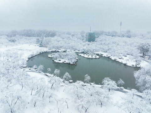 武汉东湖磨山风景区冬季雪景