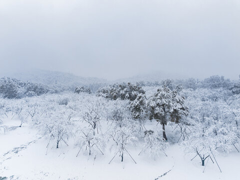 武汉东湖磨山风景区冬季雪景