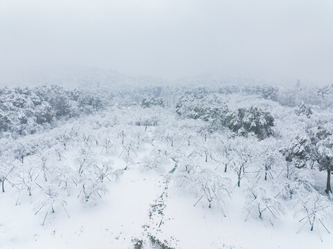 武汉东湖磨山风景区冬季雪景