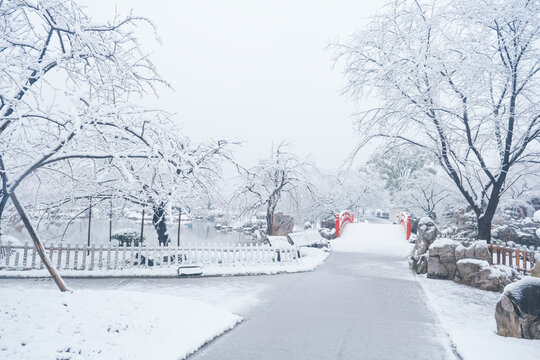 武汉东湖磨山风景区冬季雪景
