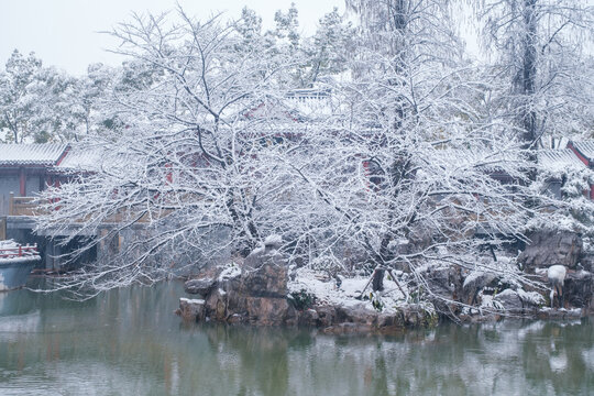 武汉东湖磨山风景区冬季雪景