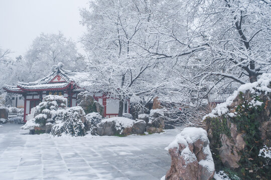 武汉东湖磨山风景区冬季雪景