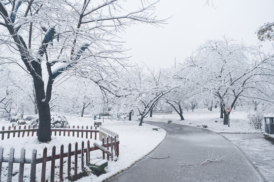 武汉东湖磨山风景区冬季雪景