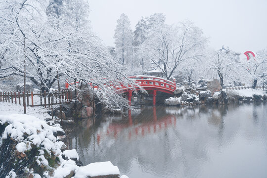 武汉东湖磨山风景区冬季雪景