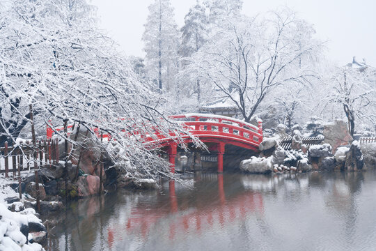 武汉东湖磨山风景区冬季雪景