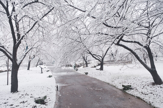 武汉东湖磨山风景区冬季雪景