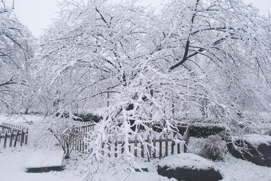 武汉东湖磨山风景区冬季雪景