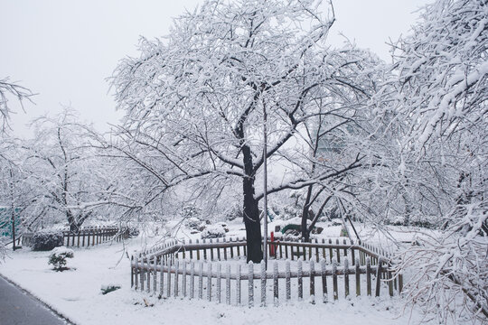 武汉东湖磨山风景区冬季雪景