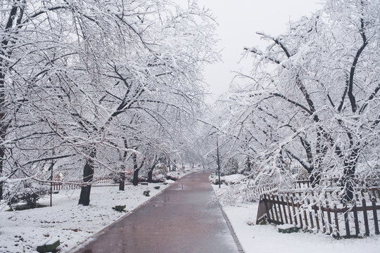 武汉东湖磨山风景区冬季雪景