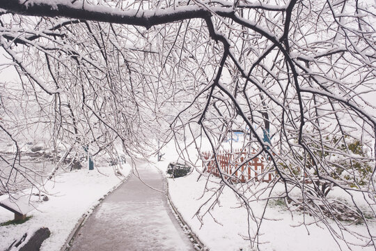 武汉东湖磨山风景区冬季雪景