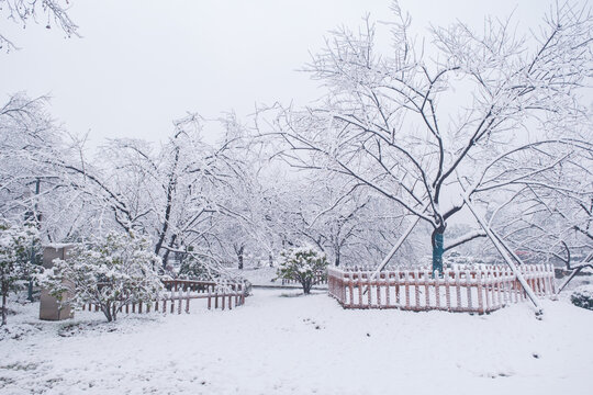武汉东湖磨山风景区冬季雪景